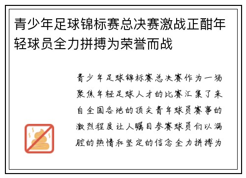 青少年足球锦标赛总决赛激战正酣年轻球员全力拼搏为荣誉而战